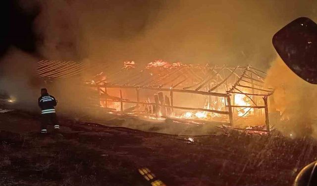 Muş Varto’da Ahır Yangını: 19 Büyükbaş Hayvan Telef Oldu, Aile Destek Bekliyor