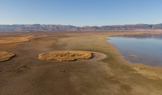 Yozgat TEMA Vakfı: Doğa Koruma Toplumsal Eşitlik İçin Önemli