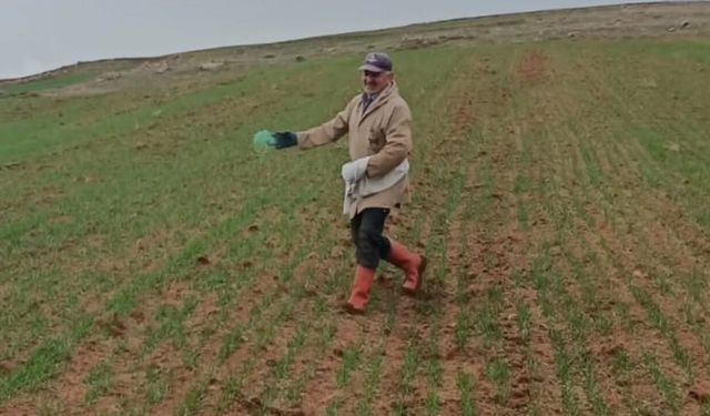 Yozgat Yortan Köyü’nde Bahar Mesaisi