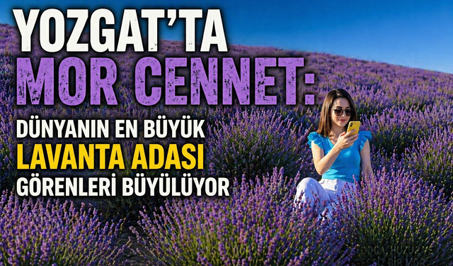 Yozgat’ta Mor Cennet: Dünyanın En Büyük Lavanta Adası Görenleri Büyülüyor