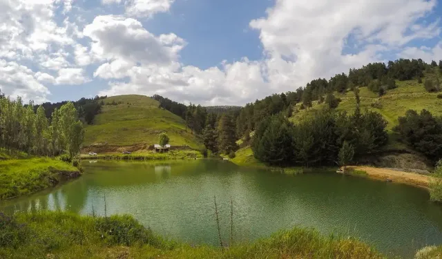 Yozgat’ta Yeşil Bir İstisna: Akdağmadeni Ormanları, Tarihi Dokusu ve Maden Geçmişiyle Dikkat Çekiyor