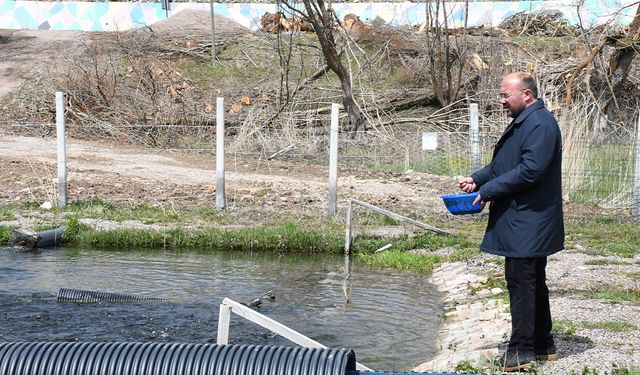 Yozgat Çayıralan’da Kaynak Suyunda Yetişen Alabalığa Yoğun İlgi