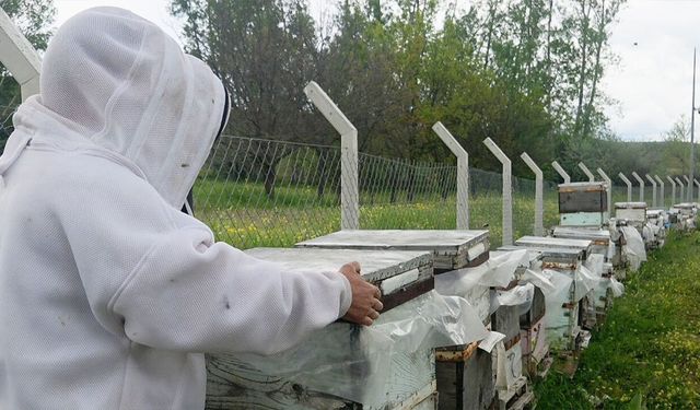 Yozgatlı Esnafın Hobisi Mesleği Oldu: Stresten Kaçarken 250 Kovanlık Arı Çiftliği Kurdu