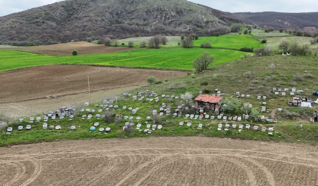 Yozgat’ta Dededen Kalan Meslek Geçim Kapısı Oldu