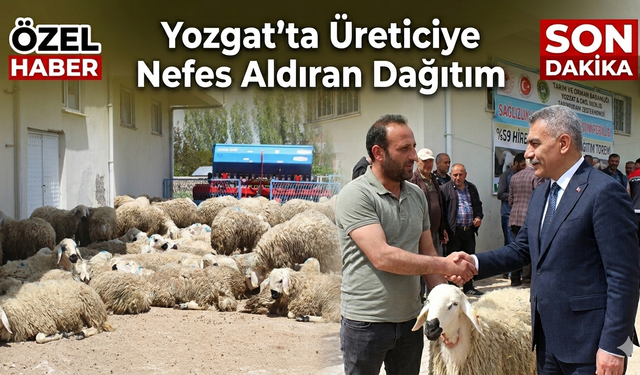 Yozgat Sarıkaya’da “Sağlıklı Koçlarla Kan Değişimi Projesi” ile 60 Üreticiye Damızlık Koç Dağıtıldı