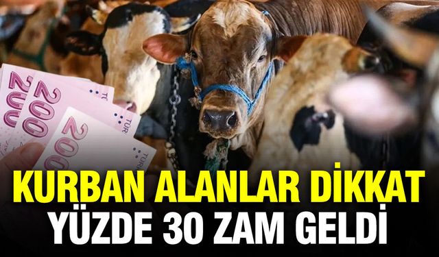 Kurbanlık Alacaklara Kötü Haber: Fiyatlar Yüzde 30 Arttı
