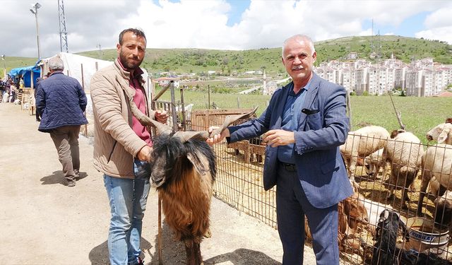 Yozgat Canlı Hayvan Pazarında Kurbanlık Hareketliliği Artıyor