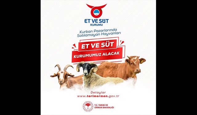 ESK Satılamayan Kurbanlıkları Satın Alacak: Sarıkaya İlçe Tarım Müdürlüğü Üreticileri Bilgilendirdi