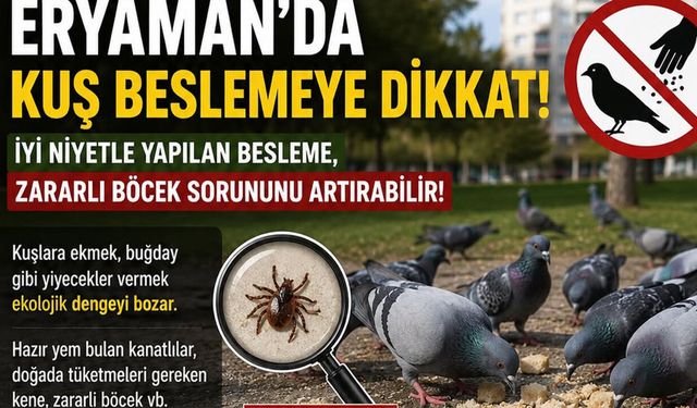 Ankara’da kuş besleyenlere büyük şok: aslında düzeni bozuyorlar!