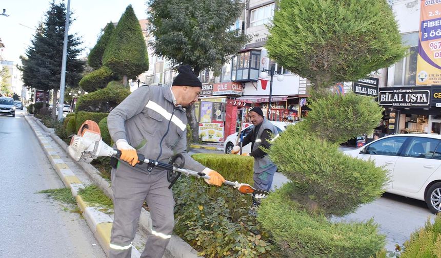 Yozgat’ın Kalbinde Yeşil Sanat!