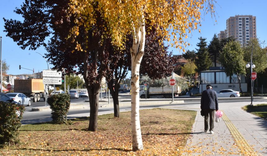 Yozgat’ta Sonbaharın Güzellikleri Görücüye Çıktı