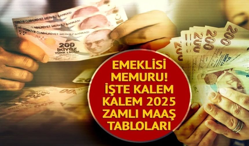 İşte Zamlı Memur Maaşları! Kim Ne Kadar Maaş Alacak? (Öğretmen, Polis, Doktor, Memur)