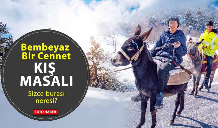 Bembeyaz Bir Cennet: Akdağmadeni’nde Kış Masalı!