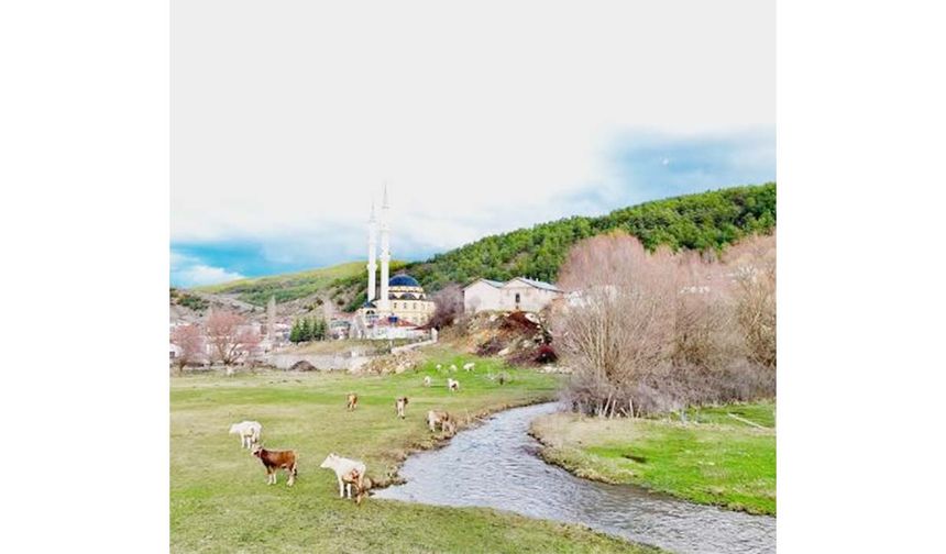 Fotoğraflar, köyün mistik atmosferini, yeşil doğasını, tarihi yapıları ve köylülerin gündelik yaşamlarını etkileyici bir şekilde ortaya koyuyor. Bu görüntüler, Yozgat’ın köylerine dair geçmişte çocukken çizdiğimiz o ideal köy resimlerinin birer hatırası gibi. Akol’un objektifi, Yozgat’ın bu köyünde saklı kalan geçmişin izlerini günümüze taşıyor.