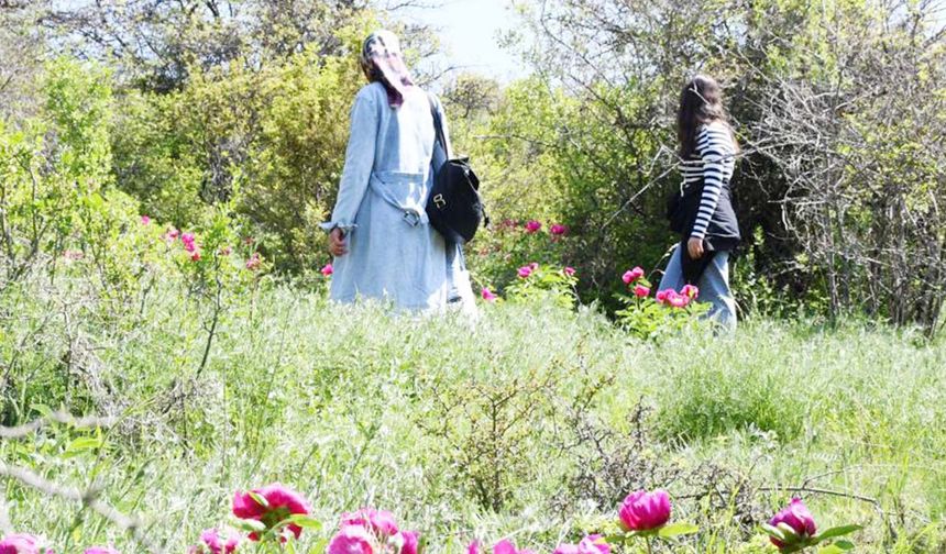 Anlatıya göre; bir zamanlar Yozgat’ta güzeller güzeli bir kız ve ona âşık olan bir delikanlı vardır. Kötü niyetli biri bu kıza zorla talip olur ve düğün alayını Cehrilik’te basar. Genç kız Allah’a “Ya taş et ya kuş et” diye dua eder. 