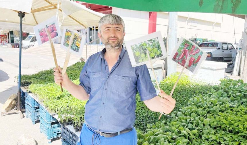 Yerli Fideye İlgi Artıyor