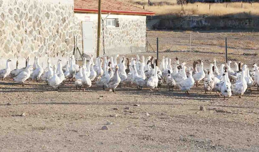 Yozgat’tan Türkiye’ye  örnek tesis!
