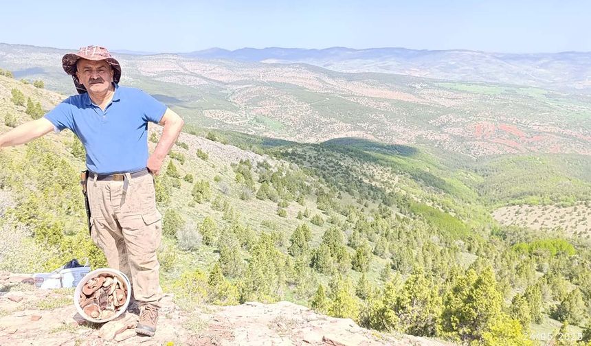 Yozgat’ın Zirvesinden Şifa Fışkırıyor!