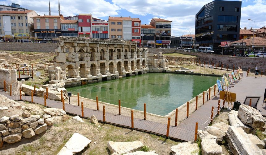 Dünya literatüründe sadece iki örnek var: Biri Yozgat’ta