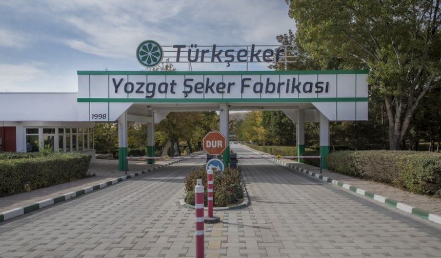 Türk Şeker Kurasından kaç Yozgatlı çıktı? Mülakatlar nasıl yapılacak?
