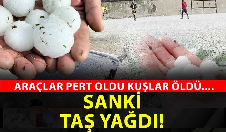 Yozgat’ta gökten felaket yağdı: Ceviz büyüklüğünde dolu can ve mal güvenliğini tehdit etti