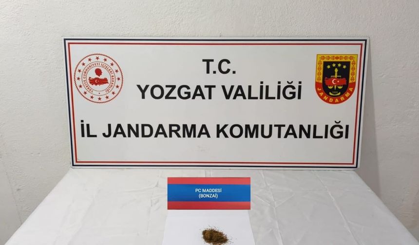 Yozgat'ta Uyuşturucu Operasyonu: 15 Gram Bonzai Ele Geçirildi