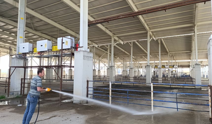 Yozgat Genelinde Hayvan Pazarları Şap Hastalığı Tedbiriyle Geçici Olarak Kapatıldı