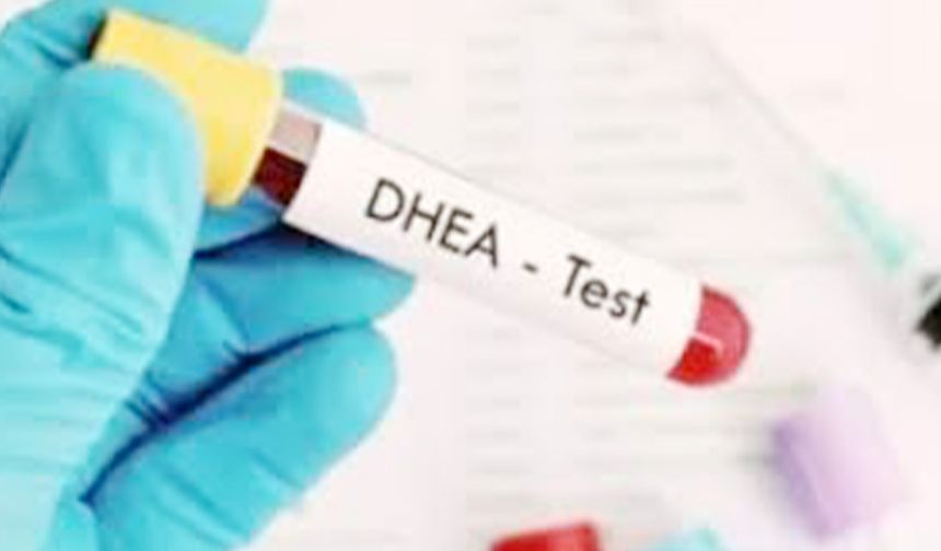 Dehidroepiandrosteron Sülfat Nedir
