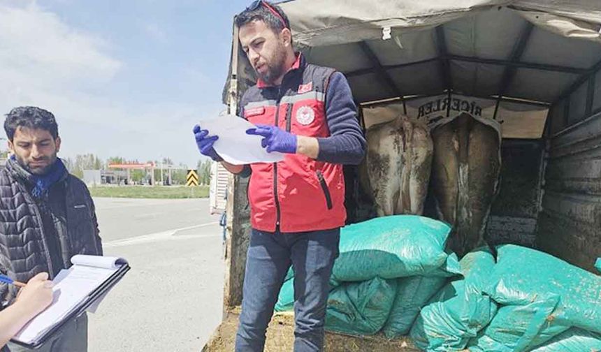Her şey sağlıklı kurban için!