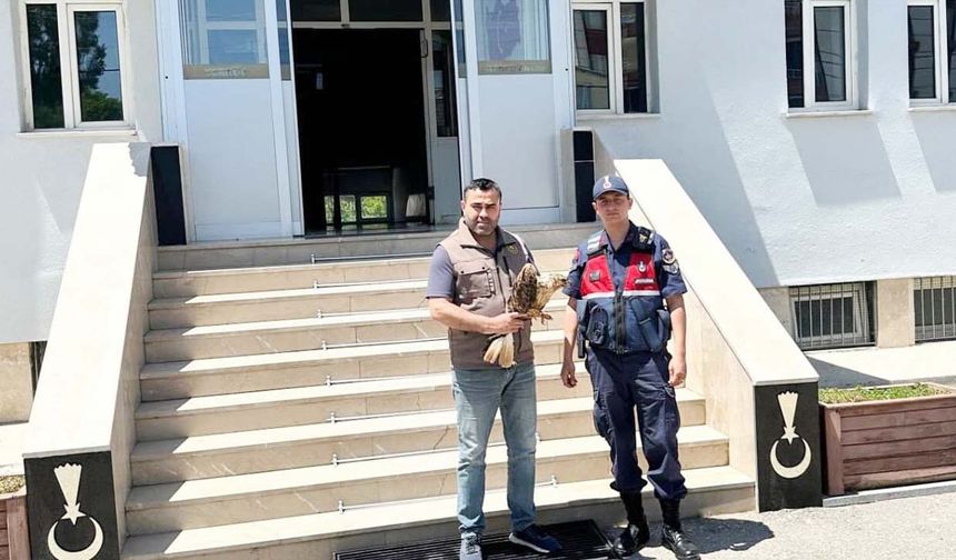 Yaralı Şahin’e Yozgat Jandarması Umut Oldu!