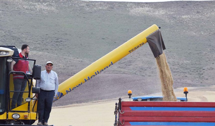 Yozgat'ta Arpa Bereketi Başladı!