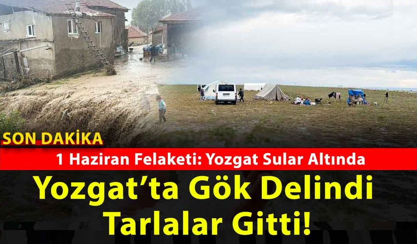 Yozgat ve 6 İlçesinde Sel ve Dolu Felaketi: Tarım Arazileri Zarar Gördü