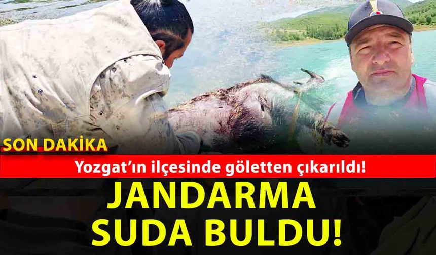 Yozgat Jandarması’ndan çevre harekatı: Gölette ölü domuz çıkarıldı, ormandaki çöpler temizlendi
