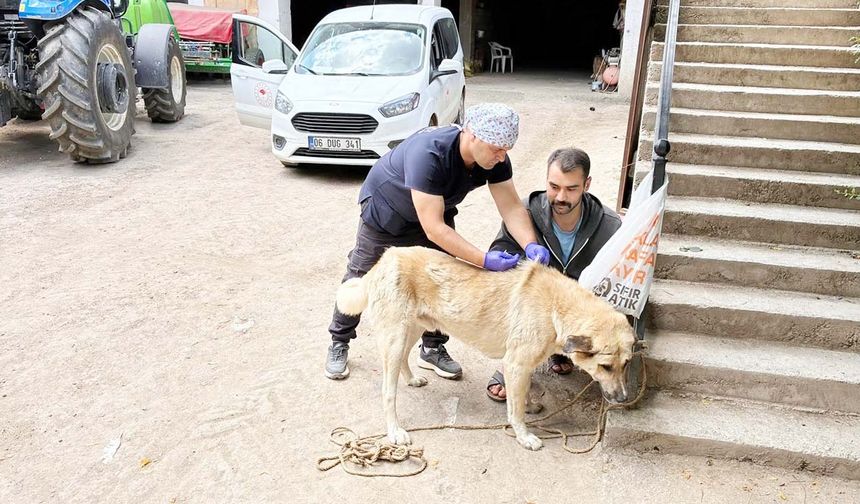 Son Gün 31 Aralık!