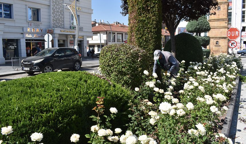 Refüjlere Estetik Dokunuş