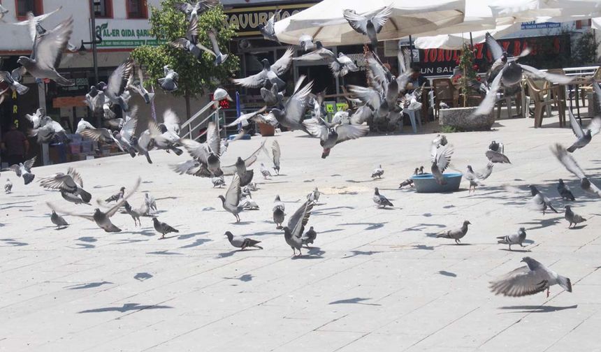 Yozgat’ın Tarihi Un Pazarı…