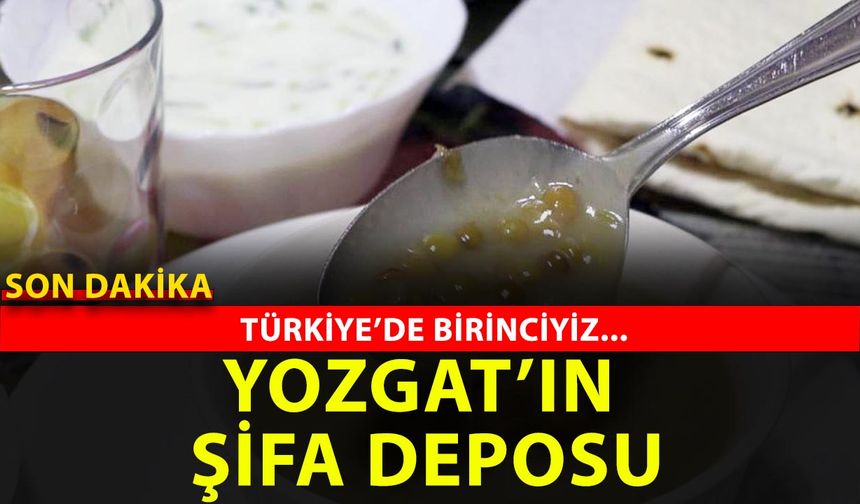 Yozgat'ta Toprak Konuştu: Bu Yıl Mercimek Altın Gibi!