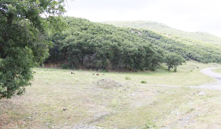 Yozgat’ın En Temiz 5 Yaylası