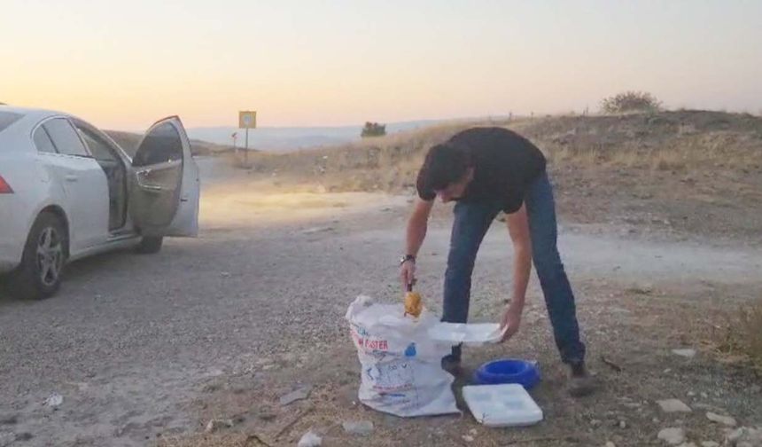 Doğadaki Canlılara Şefkat Eli