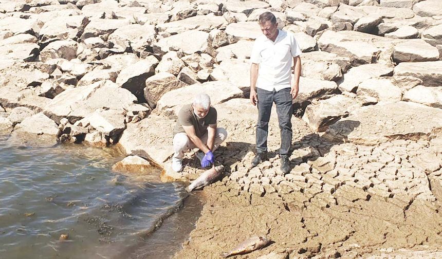 Yozgat’ta Balıklar Can Verdi…