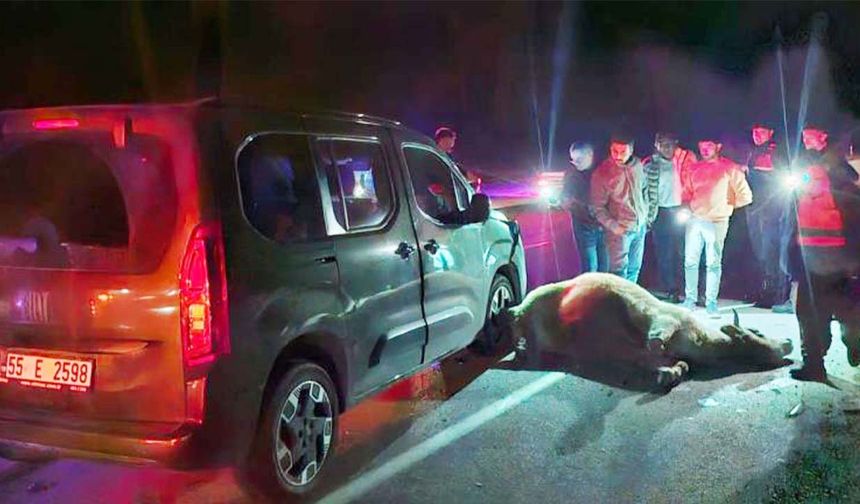 Yozgat-Alaca Yolunda Yola Fırlayan Dana Zincirleme Kazaya Yol Açtı: 3 Yaralı