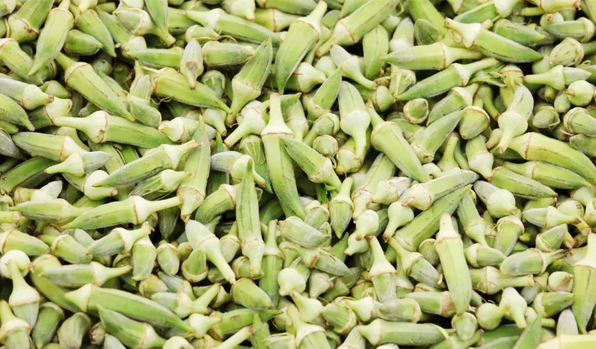 Kolesterolü Doğal Yolla Düşüren Mucize: Haftada Bir Porsiyon Bile Damarları Temizliyor!