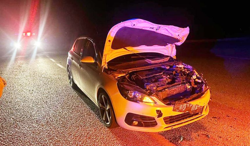 Yozgat-Çorum Karayolunda Araç Danaya Çarptı: İşte Detaylar…