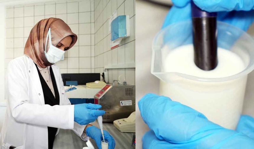 Kırıkkale’de üretip Yozgat’a satıyorlar