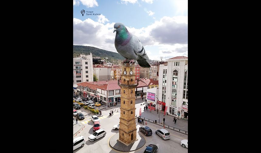 Yozgat’ın doğal güzelliklerine bir de bu açıdan bakalım!