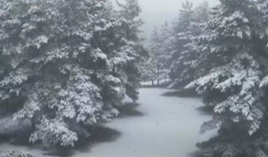 Akdağmadeni Ormanları Beyaza Büründü