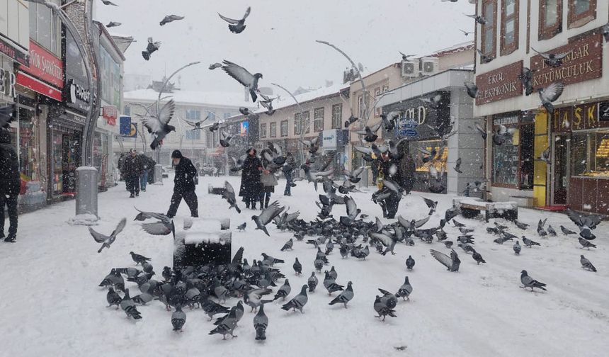 Yozgat’a beyaz örtü çok yakıştı! Sarraflar Caddesi’nde Kar ve Merhamet Aynı Karede