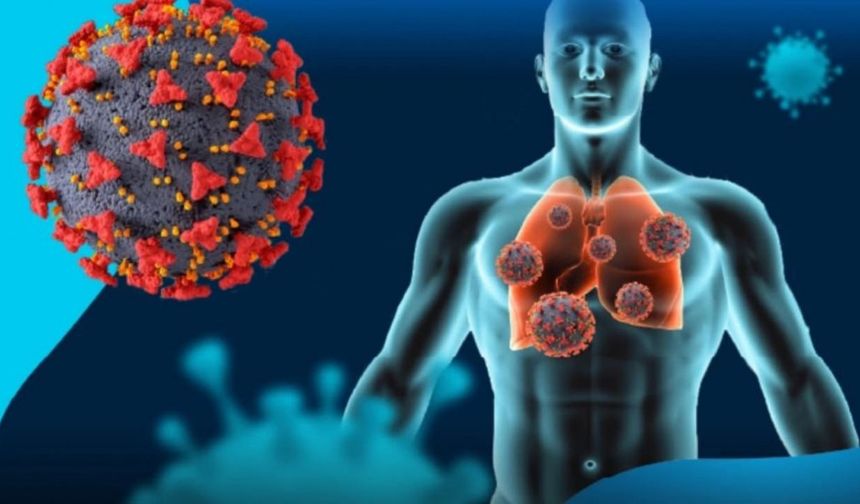 H3N2 Virüsü Yeniden Türkiye’de! Kışa Solunum Alarmıyla Girdik