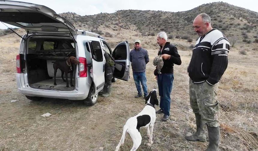 Yozgat’ta Kuraklık Yaban Hayatını Olumsuz Etkiliyor