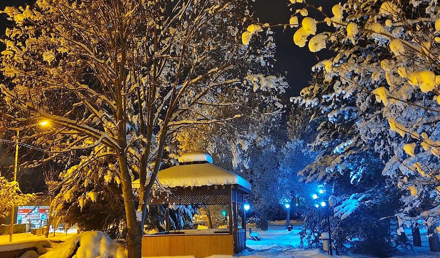 Yozgat Çayıralan’da Kartpostallık Kış Manzaraları